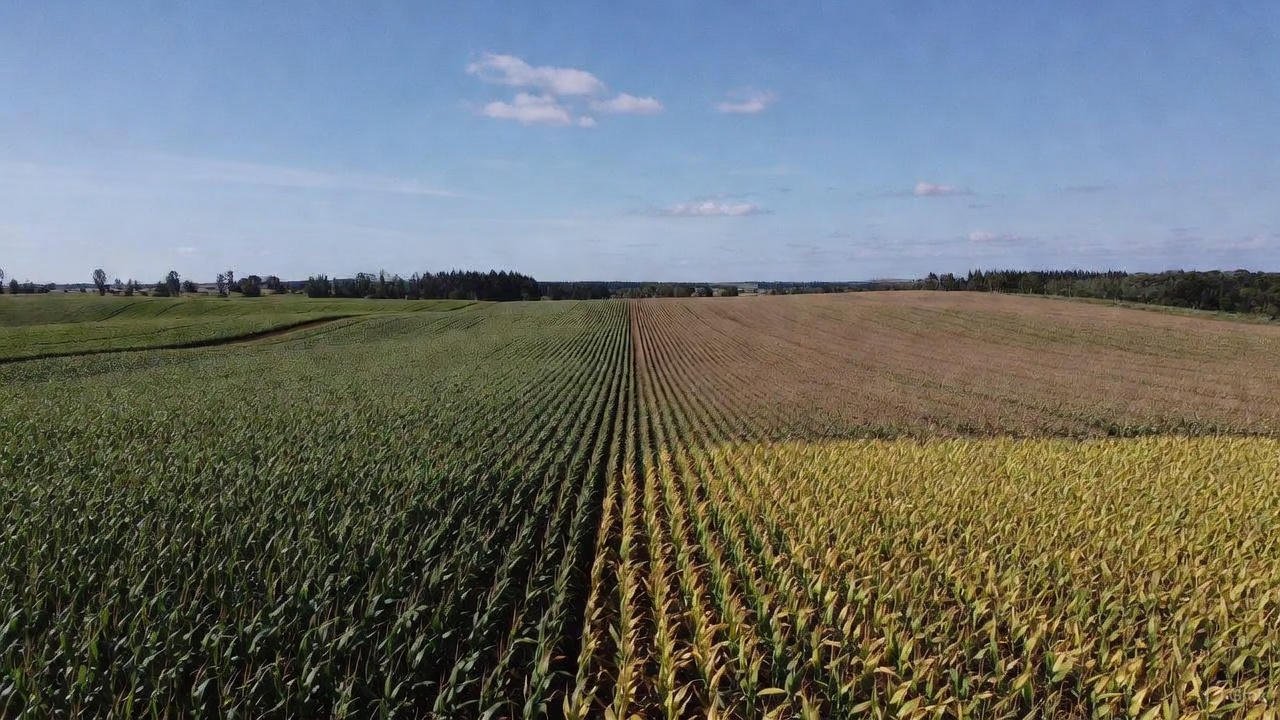 459312c2-43d3-455c-b880-bab189b42485